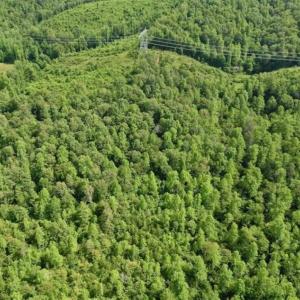 Photo of UNDER CONTRACT!!  156 Acres of Hunting and Recreation Land for Sale in Franklin County VA!