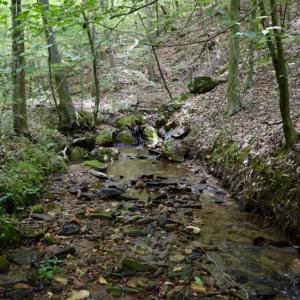Photo of UNDER CONTRACT!!  156 Acres of Hunting and Recreation Land for Sale in Franklin County VA!