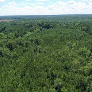 Photo of SOLD!!  55.56 Acres of Residential Equestrian and Hunting Land in Moore County NC!