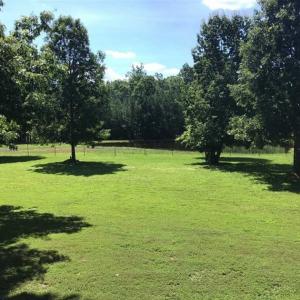 Photo of SOLD!!  55.56 Acres of Residential Equestrian and Hunting Land in Moore County NC!
