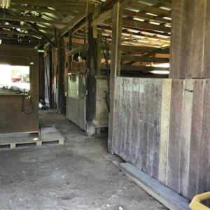 Photo of SOLD!!  55.56 Acres of Residential Equestrian and Hunting Land in Moore County NC!