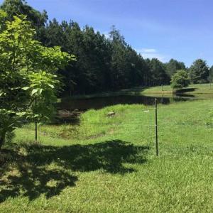 Photo of SOLD!!  55.56 Acres of Residential Equestrian and Hunting Land in Moore County NC!