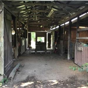 Photo of SOLD!!  55.56 Acres of Residential Equestrian and Hunting Land in Moore County NC!