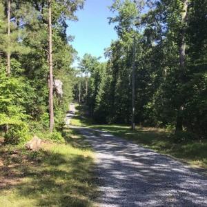 Photo of SOLD!!  55.56 Acres of Residential Equestrian and Hunting Land in Moore County NC!