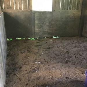 Photo of SOLD!!  55.56 Acres of Residential Equestrian and Hunting Land in Moore County NC!