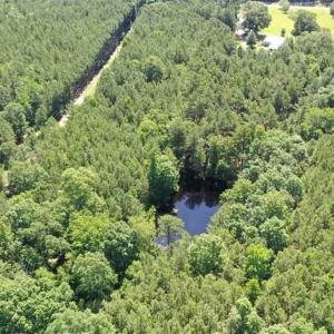 Photo of SOLD!!  55.56 Acres of Residential Equestrian and Hunting Land in Moore County NC!