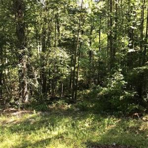 Photo of SOLD!!  55.56 Acres of Residential Equestrian and Hunting Land in Moore County NC!