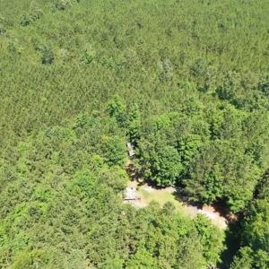 Photo of SOLD!!  55.56 Acres of Residential Equestrian and Hunting Land in Moore County NC!