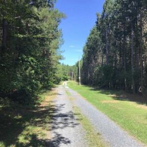 Photo of SOLD!!  55.56 Acres of Residential Equestrian and Hunting Land in Moore County NC!