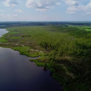 Photo of UNDER CONTRACT!!  98 Acres of Waterfront Farm and Development Land in Currituck County NC!