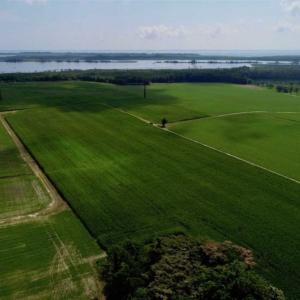Photo of UNDER CONTRACT!!  98 Acres of Waterfront Farm and Development Land in Currituck County NC!