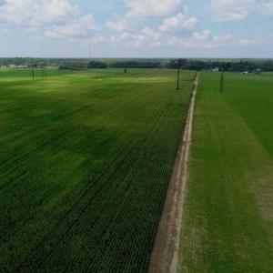 Photo of UNDER CONTRACT!!  98 Acres of Waterfront Farm and Development Land in Currituck County NC!