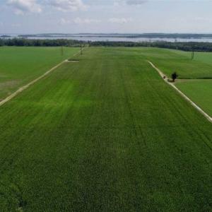 Photo of UNDER CONTRACT!!  98 Acres of Waterfront Farm and Development Land in Currituck County NC!