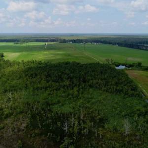 Photo of UNDER CONTRACT!!  98 Acres of Waterfront Farm and Development Land in Currituck County NC!