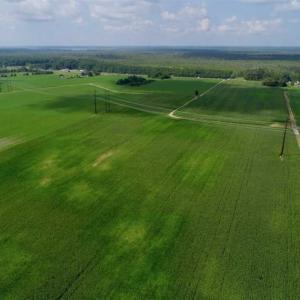Photo of UNDER CONTRACT!!  98 Acres of Waterfront Farm and Development Land in Currituck County NC!