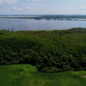 Photo of UNDER CONTRACT!!  98 Acres of Waterfront Farm and Development Land in Currituck County NC!