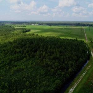 Photo of UNDER CONTRACT!!  98 Acres of Waterfront Farm and Development Land in Currituck County NC!