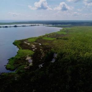 Photo of UNDER CONTRACT!!  98 Acres of Waterfront Farm and Development Land in Currituck County NC!