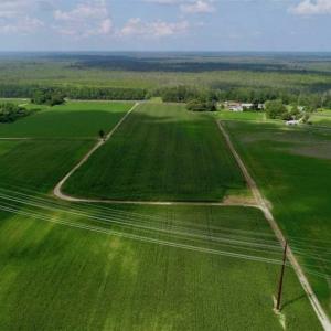 Photo of UNDER CONTRACT!!  98 Acres of Waterfront Farm and Development Land in Currituck County NC!
