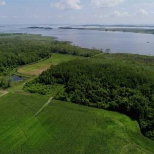 Photo of UNDER CONTRACT!!  98 Acres of Waterfront Farm and Development Land in Currituck County NC!
