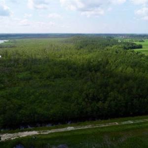 Photo of UNDER CONTRACT!!  98 Acres of Waterfront Farm and Development Land in Currituck County NC!