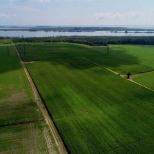 Photo of UNDER CONTRACT!!  98 Acres of Waterfront Farm and Development Land in Currituck County NC!