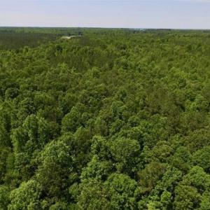 Photo of SOLD!!  37.3 Ac of Hunting and Recreational Land For Sale in Lunenburg County VA!