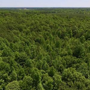 Photo of SOLD!!  37.3 Ac of Hunting and Recreational Land For Sale in Lunenburg County VA!