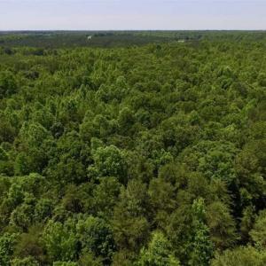 Photo of SOLD!!  37.3 Ac of Hunting and Recreational Land For Sale in Lunenburg County VA!