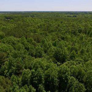 Photo of SOLD!!  37.3 Ac of Hunting and Recreational Land For Sale in Lunenburg County VA!