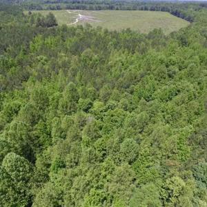 Photo of SOLD!!  37.3 Ac of Hunting and Recreational Land For Sale in Lunenburg County VA!