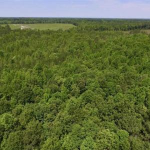 Photo of SOLD!!  37.3 Ac of Hunting and Recreational Land For Sale in Lunenburg County VA!