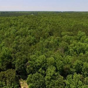 Photo of SOLD!!  37.3 Ac of Hunting and Recreational Land For Sale in Lunenburg County VA!