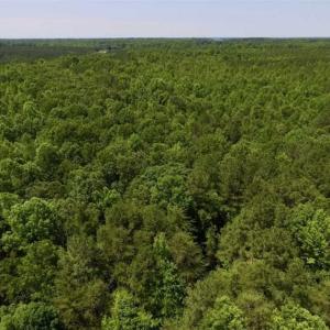 Photo of SOLD!!  37.3 Ac of Hunting and Recreational Land For Sale in Lunenburg County VA!