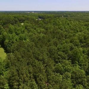 Photo of SOLD!!  37.3 Ac of Hunting and Recreational Land For Sale in Lunenburg County VA!