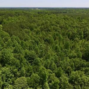 Photo of SOLD!!  37.3 Ac of Hunting and Recreational Land For Sale in Lunenburg County VA!