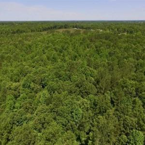 Photo of SOLD!!  37.3 Ac of Hunting and Recreational Land For Sale in Lunenburg County VA!