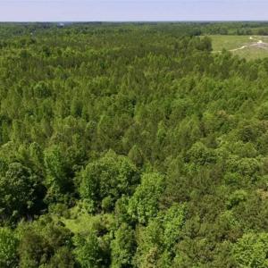 Photo of SOLD!!  37.3 Ac of Hunting and Recreational Land For Sale in Lunenburg County VA!