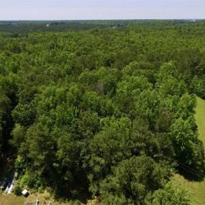 Photo of SOLD!!  37.3 Ac of Hunting and Recreational Land For Sale in Lunenburg County VA!