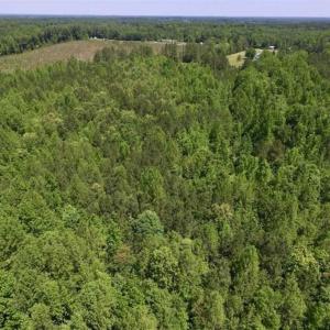 Photo of SOLD!!  37.3 Ac of Hunting and Recreational Land For Sale in Lunenburg County VA!