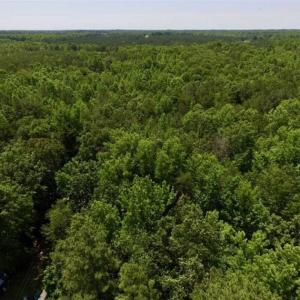 Photo of SOLD!!  37.3 Ac of Hunting and Recreational Land For Sale in Lunenburg County VA!