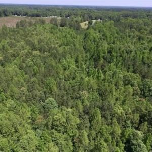 Photo of SOLD!!  37.3 Ac of Hunting and Recreational Land For Sale in Lunenburg County VA!