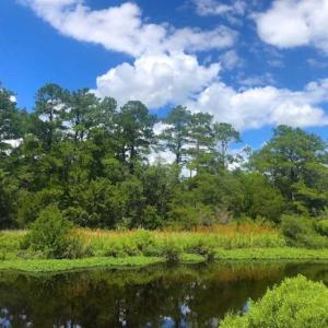Photo of UNDER CONTRACT!!  14.2 Acres of Waterfront Residential Land For Sale in Pamlico County NC!