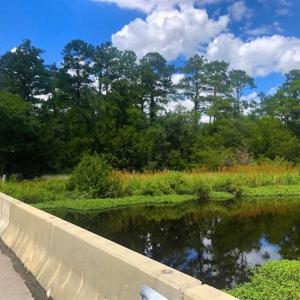 Photo of UNDER CONTRACT!!  14.2 Acres of Waterfront Residential Land For Sale in Pamlico County NC!