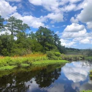 Photo of UNDER CONTRACT!!  14.2 Acres of Waterfront Residential Land For Sale in Pamlico County NC!