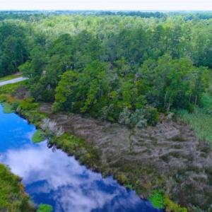 Photo of UNDER CONTRACT!!  14.2 Acres of Waterfront Residential Land For Sale in Pamlico County NC!