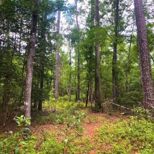 Photo of UNDER CONTRACT!!  14.2 Acres of Waterfront Residential Land For Sale in Pamlico County NC!