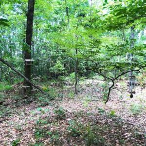 Photo of UNDER CONTRACT!!  14.2 Acres of Waterfront Residential Land For Sale in Pamlico County NC!