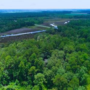 Photo of UNDER CONTRACT!!  14.2 Acres of Waterfront Residential Land For Sale in Pamlico County NC!