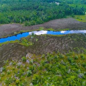 Photo of UNDER CONTRACT!!  14.2 Acres of Waterfront Residential Land For Sale in Pamlico County NC!